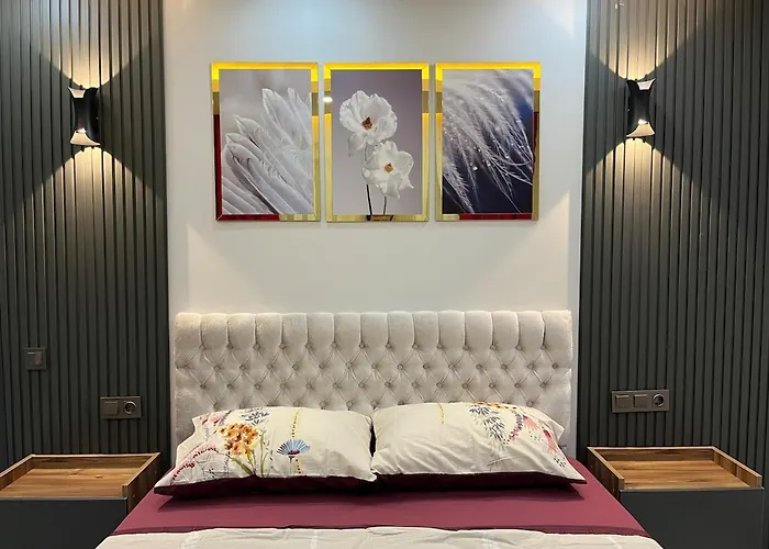 13 Luxury With Elevator In The Center Antalya